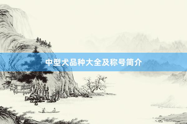 中型犬品种大全及称号简介