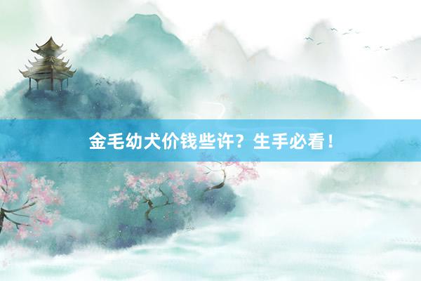 金毛幼犬价钱些许？生手必看！
